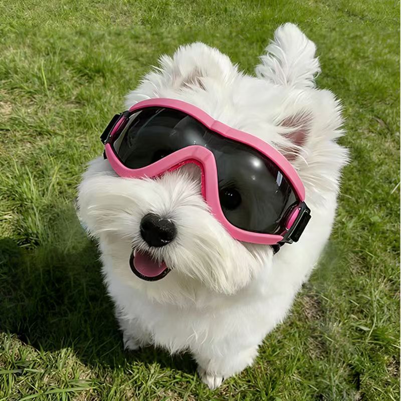 Occhiali Protettivi per Cani d - Sunglass Retainer Cord recensione e prezzo